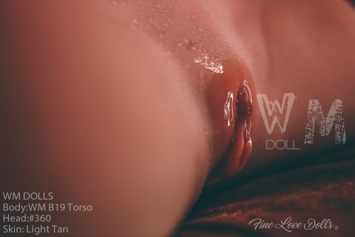 wmdoll-torso-b19-sex-doll-27