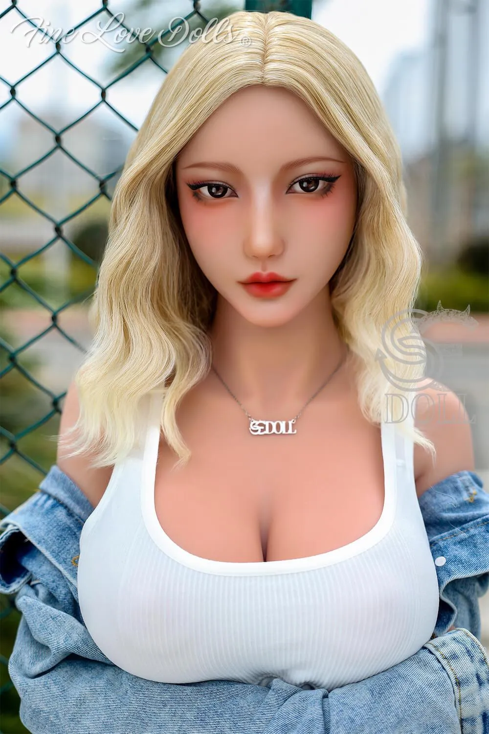 SED313 (5)