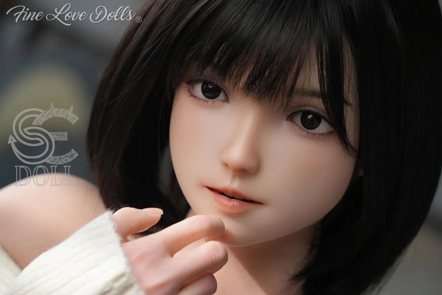 SES042 (4)