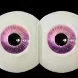 fudoll premium eyes #1