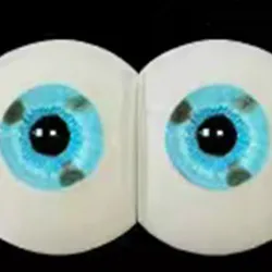 fudoll premium eyes #3