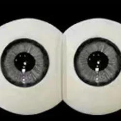 fudoll premium eyes #5