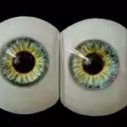 fudoll eyes #1