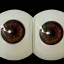 fudoll eyes #2