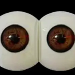fudoll eyes #5