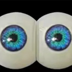 fudoll eyes #6