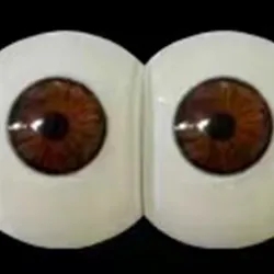 fudoll eyes #7