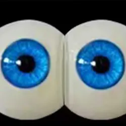 fudoll eyes #8