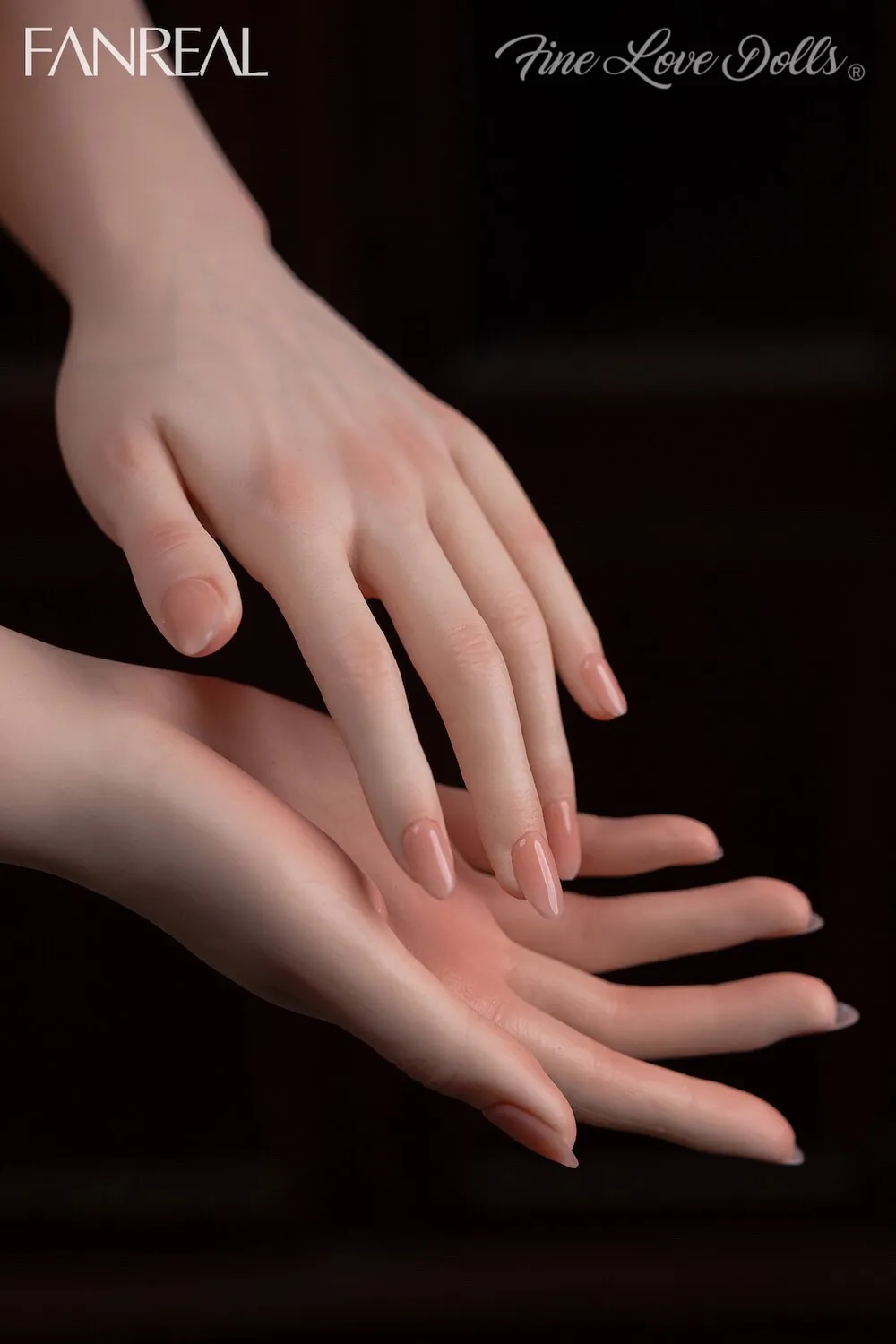 _MGL6037
